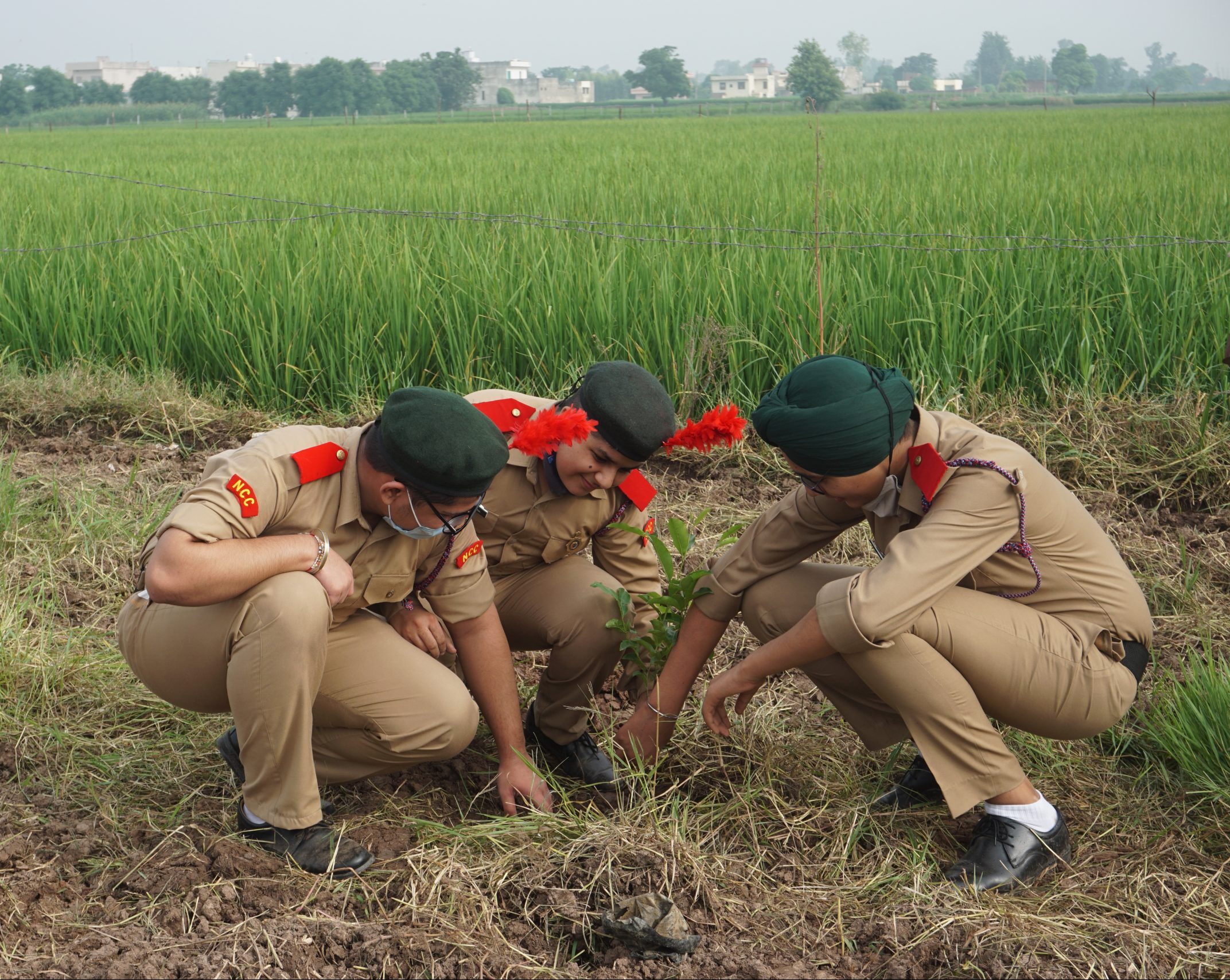 NCC social service activity